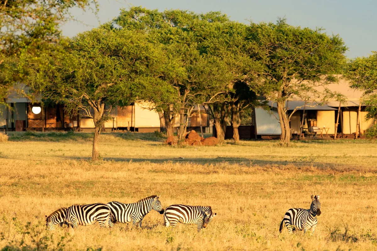 Sabora Tented Camp — photo 35