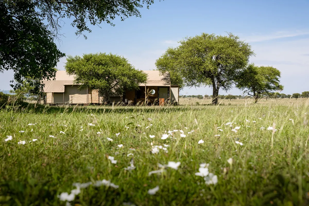 Sabora Tented Camp — photo 38