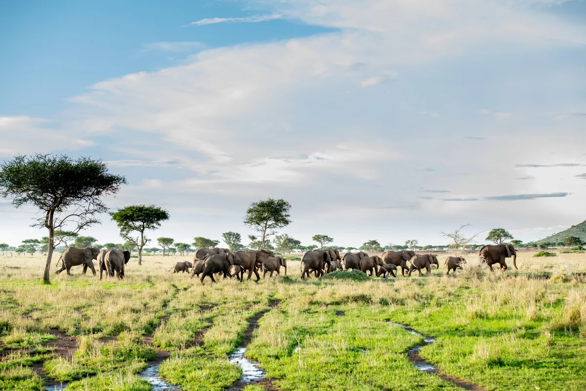 Sabora Tented Camp — photo 6