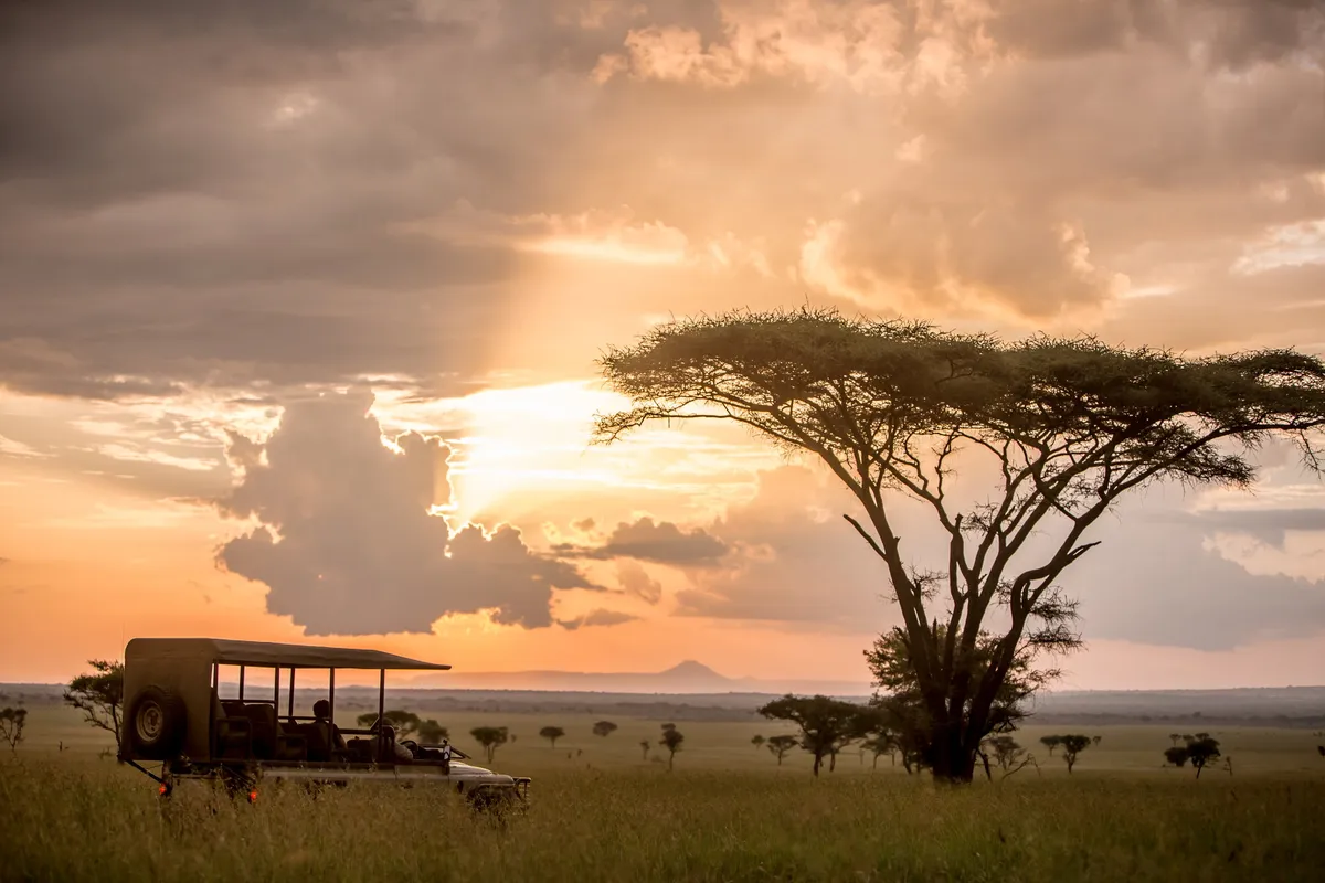 Sabora Tented Camp — photo 40