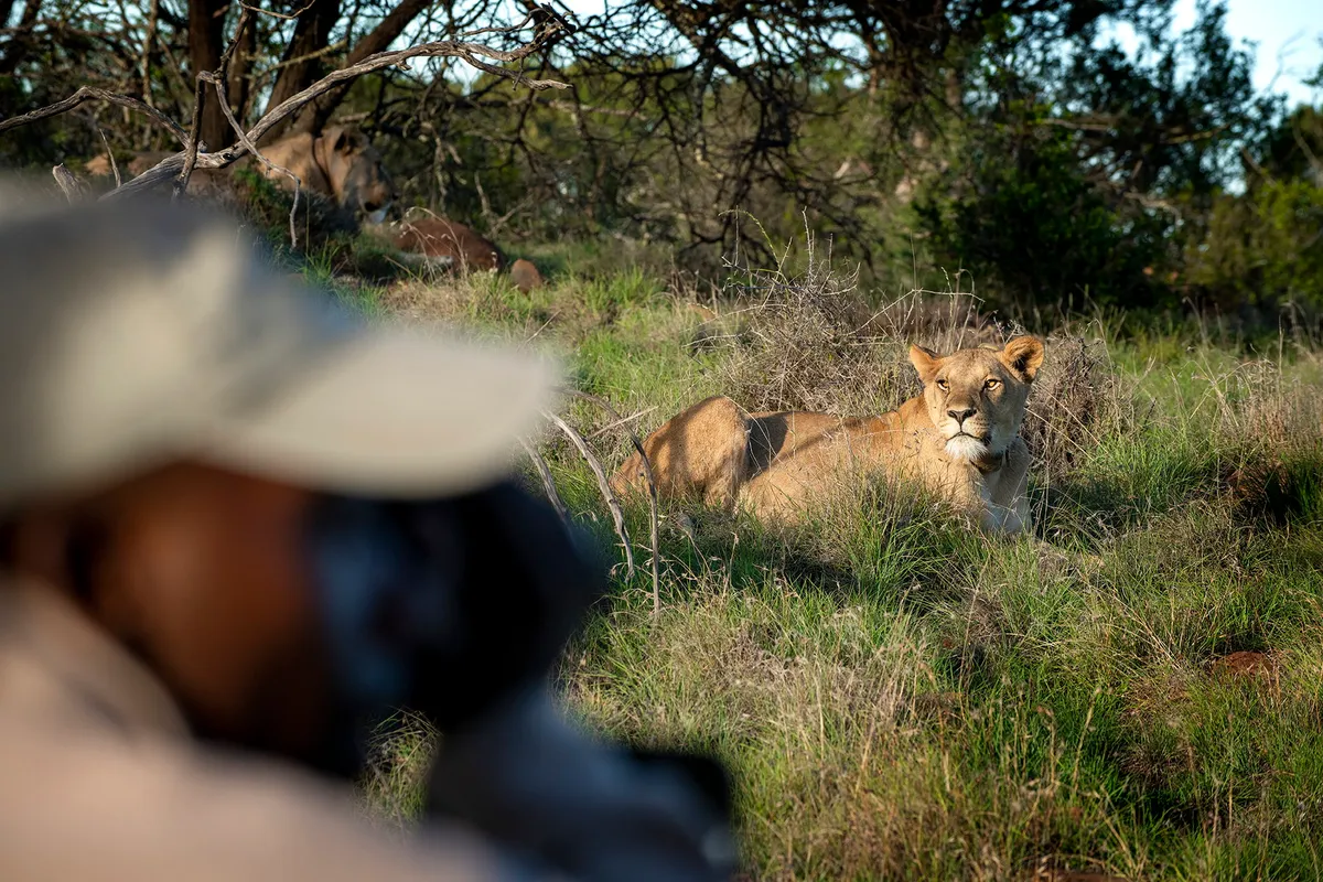 Samara Karoo Lodge — photo 18