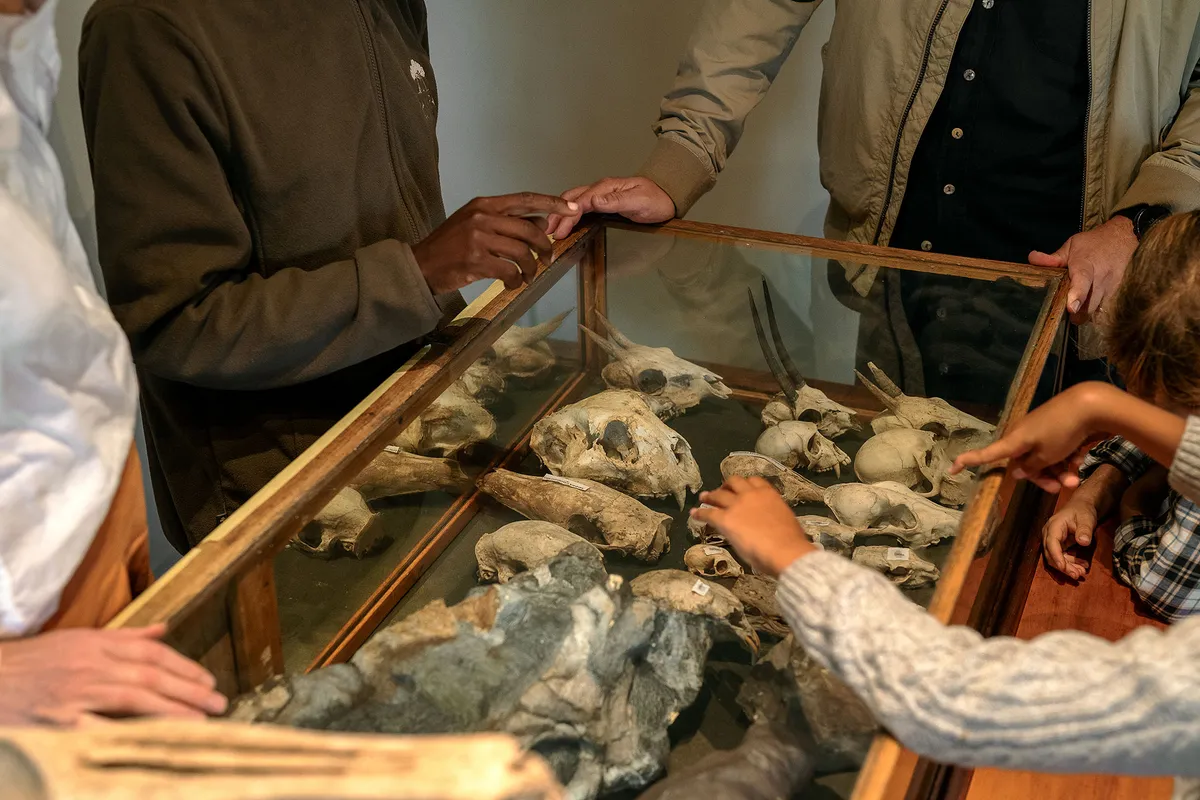 Samara Karoo Lodge — photo 54