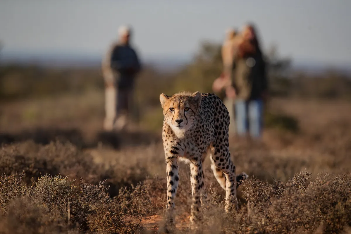 Samara Plains Camp — photo 11