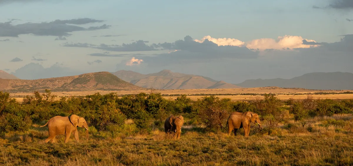 Samara Plains Camp — photo 12