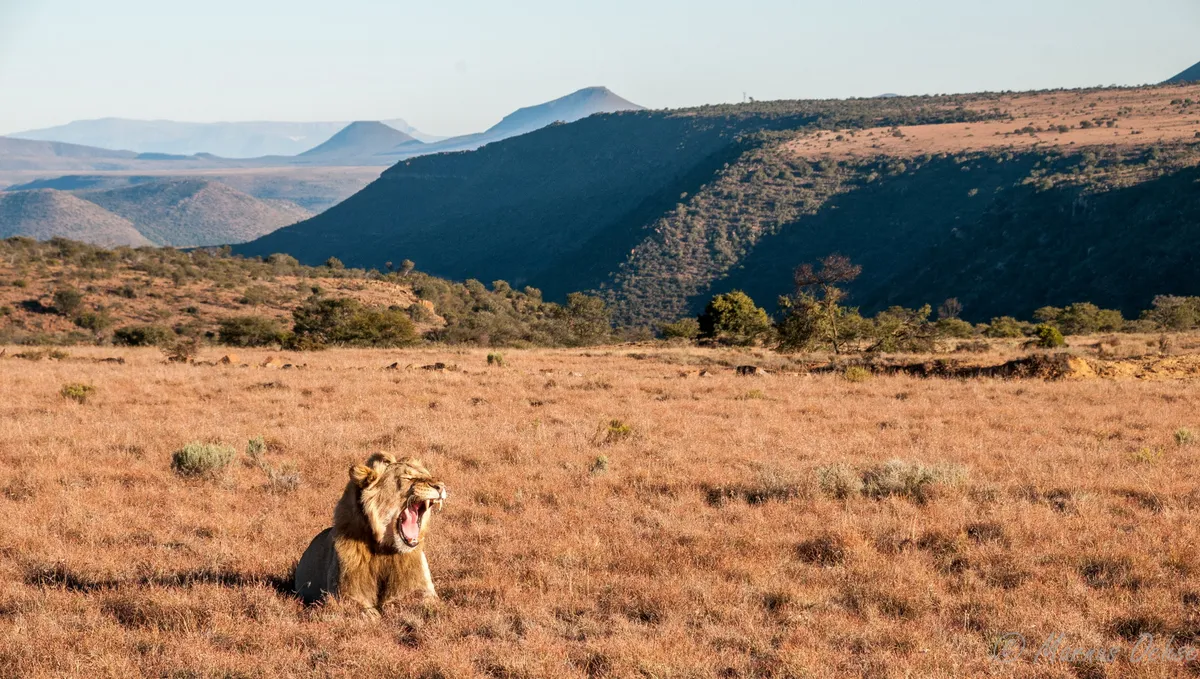 Samara Plains Camp — photo 14