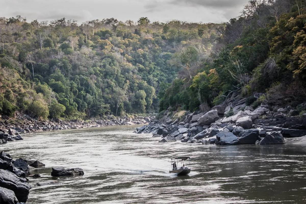 Sand Rivers Selous — photo 21