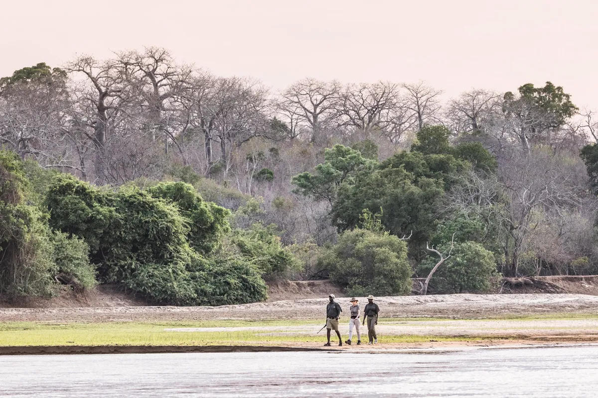 Sand Rivers Selous — photo 25