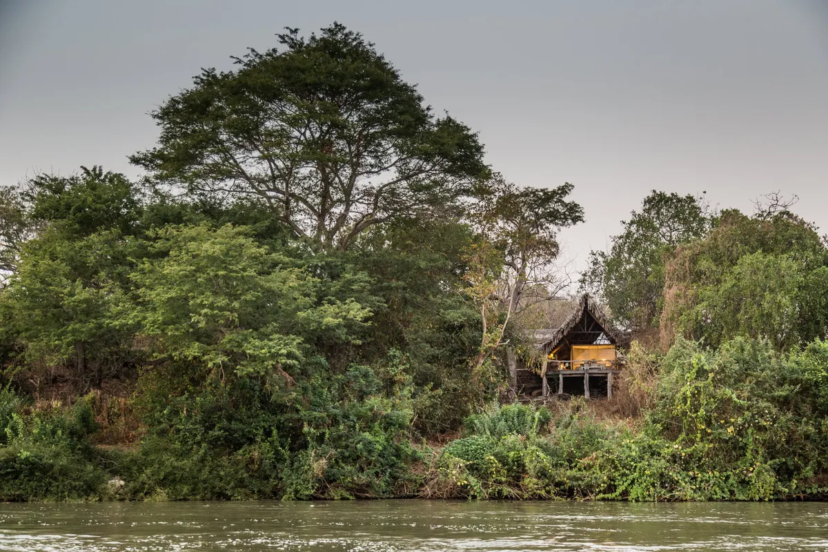 Sand Rivers Selous — photo 3