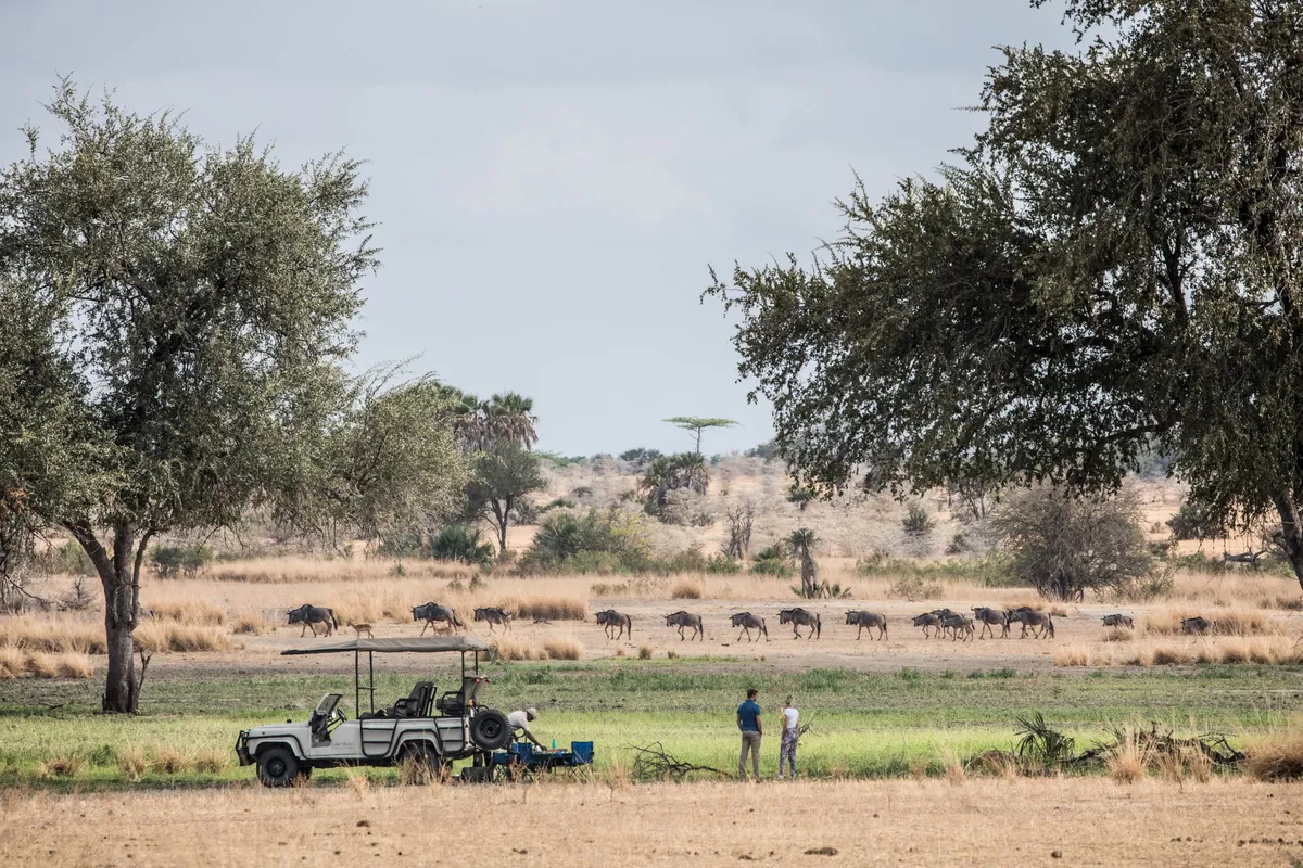Sand Rivers Selous — photo 31