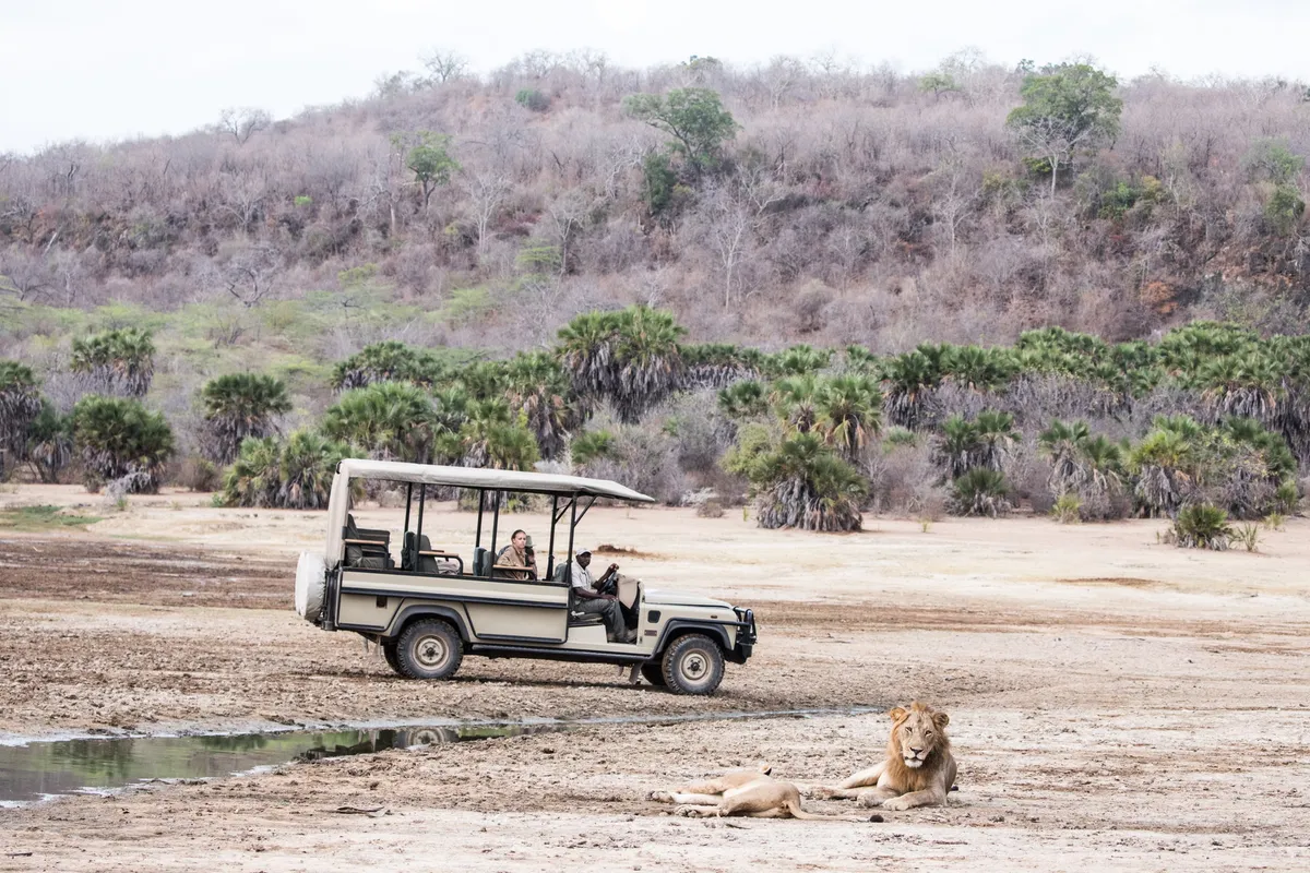 Sand Rivers Selous — photo 35