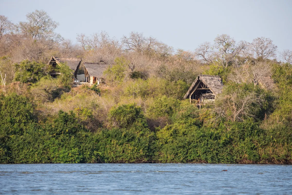 Sand Rivers Selous — photo 4