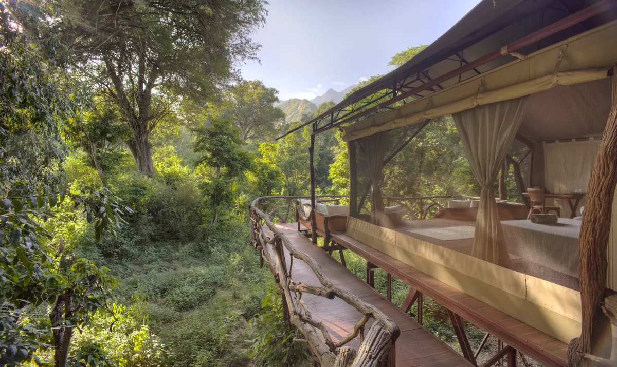 Sarara Treehouses — photo 12