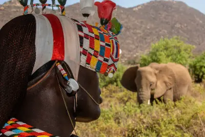 Sasaab, Samburu, Kenya