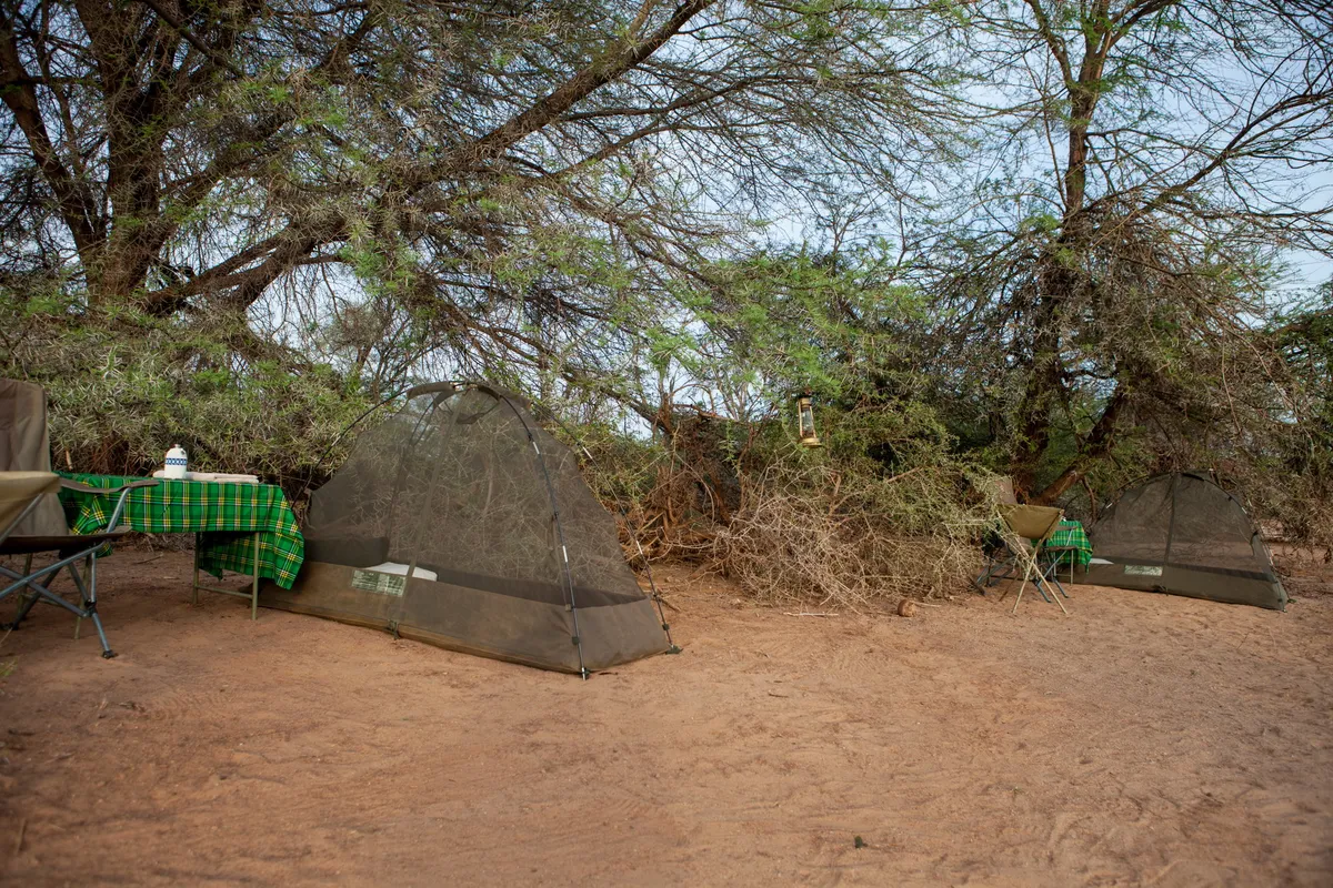 Sasaab — photo 54