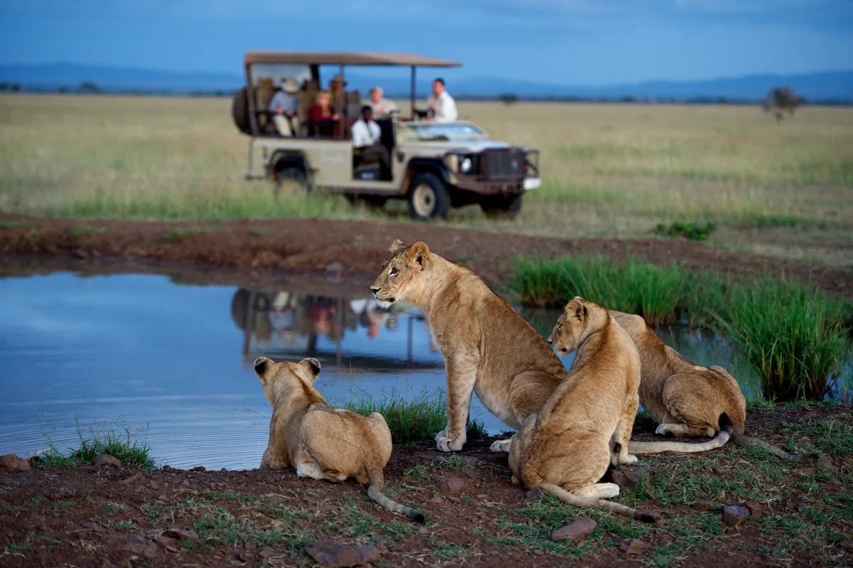 Serengeti House — photo 33