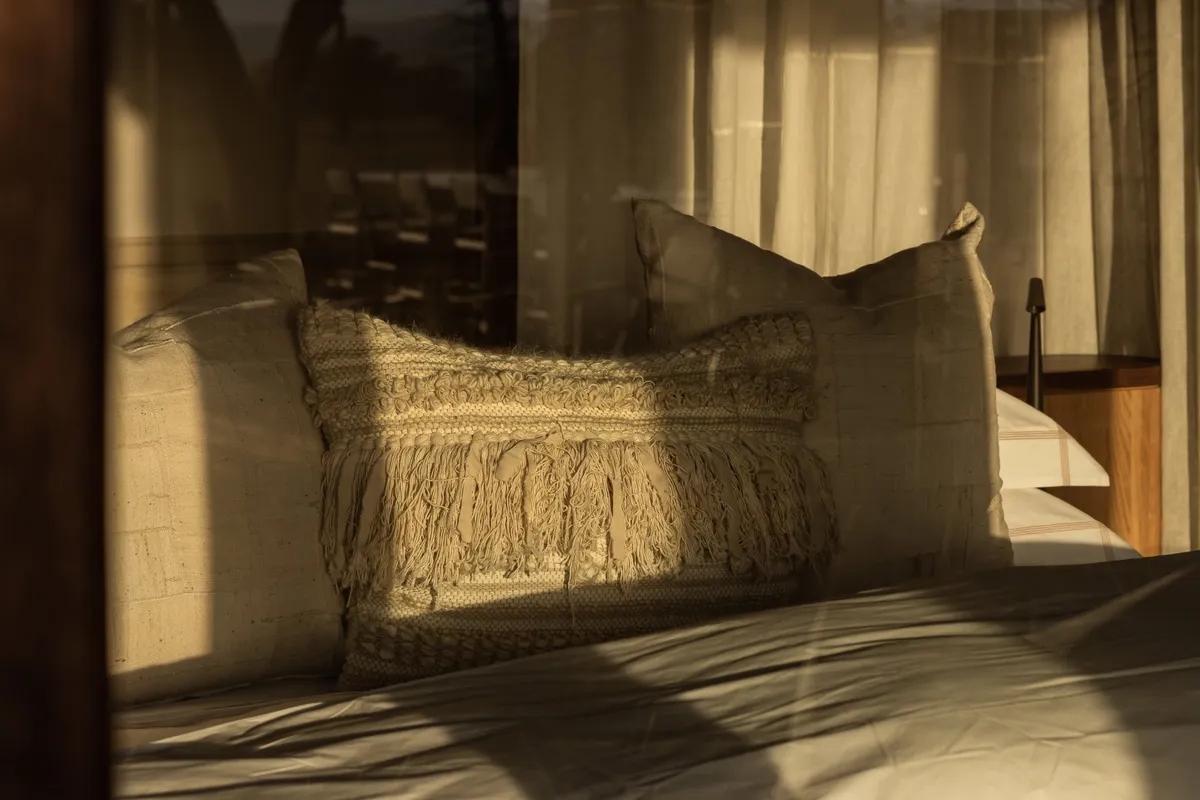 Serengeti House — photo 5