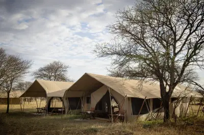 Serengeti Safari Camp 2 North (Koga), Serengeti (North / mobile), Tanzania