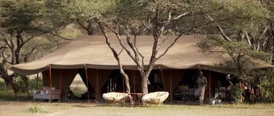 Serian's Serengeti South, Serengeti (South / Ndutu), Tanzania