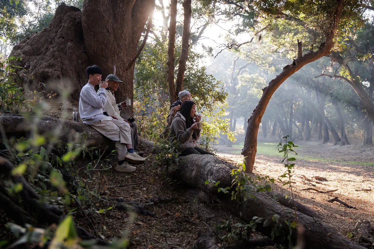 Shawa Luangwa Camp — photo 44