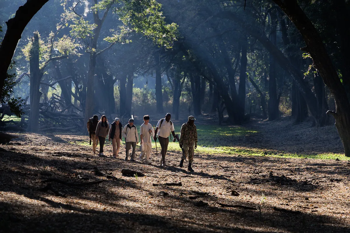 Shawa Luangwa Camp — photo 45