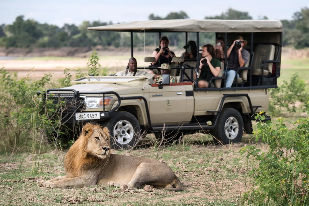Shawa Luangwa Camp — photo 51