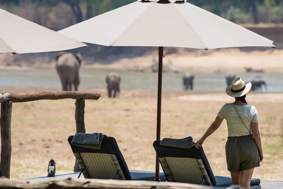 Shawa Luangwa Camp — photo 61