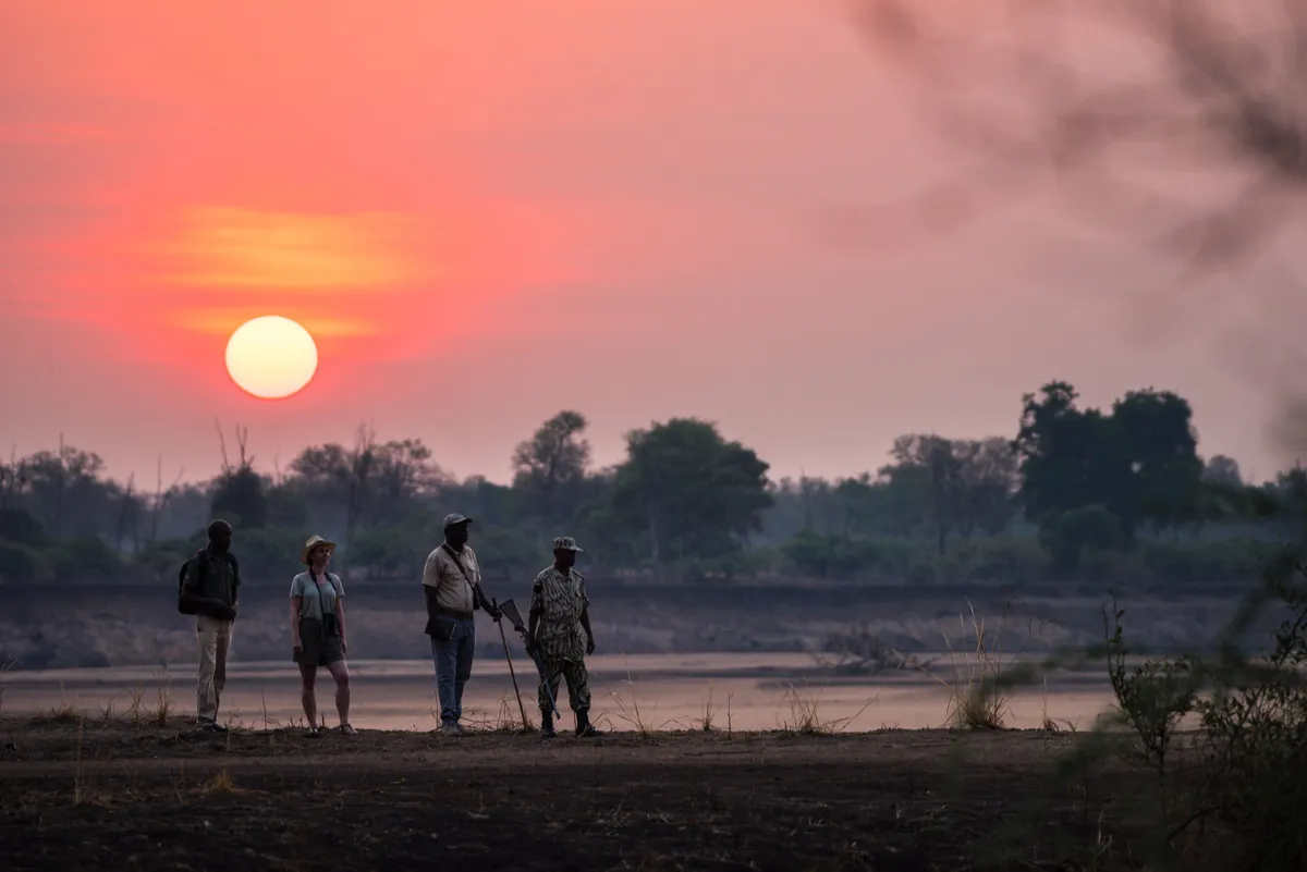 Shawa Luangwa Camp — photo 63
