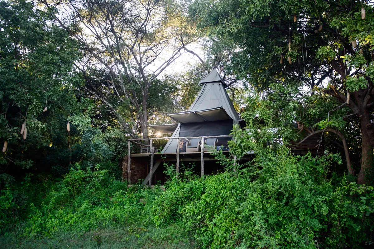 Shawa Luangwa Camp — photo 71