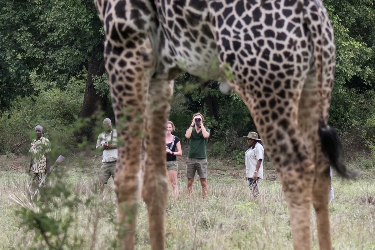 Shawa Luangwa Camp — photo 72