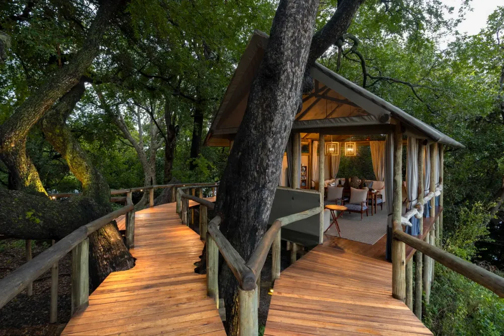 Shinde, Okavango Delta (Shinde Concession), Botswana