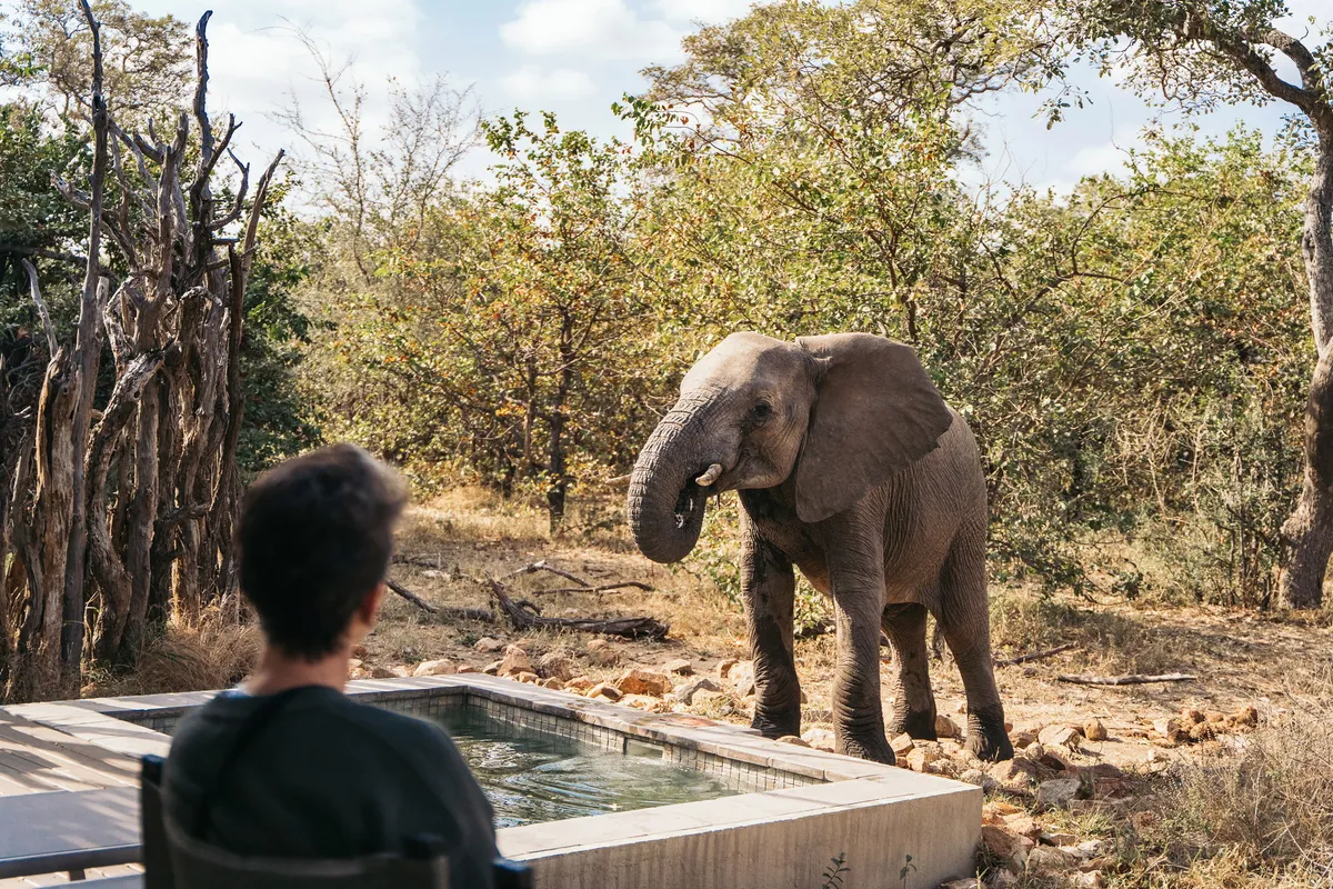 Simbavati River Lodge — photo 33