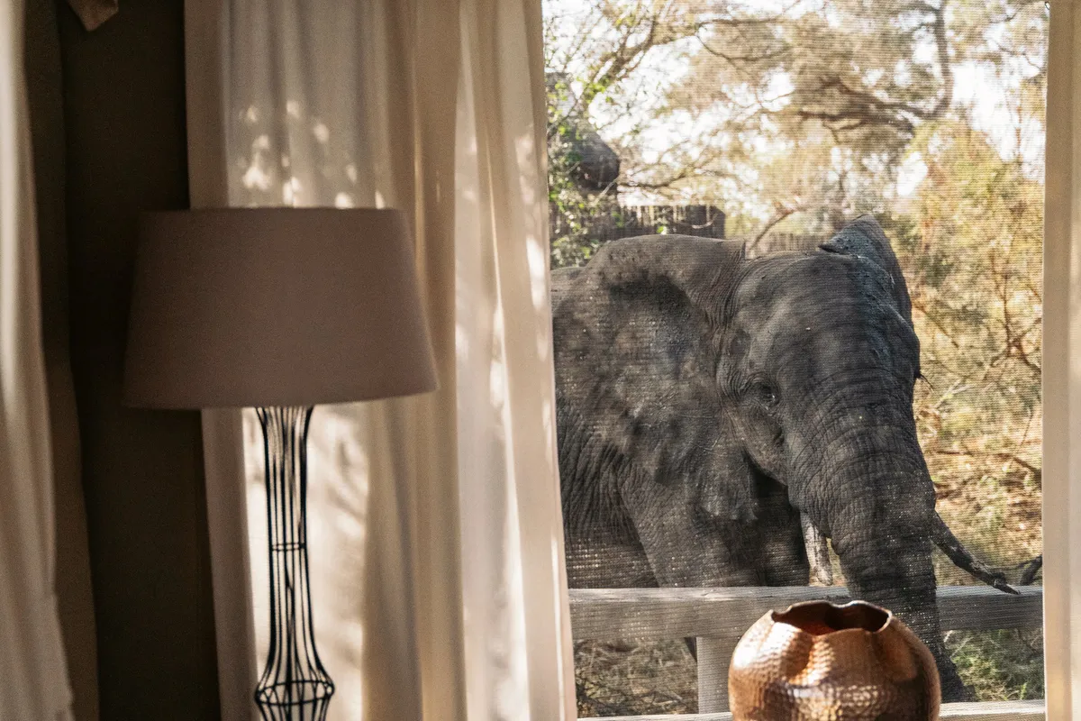 Simbavati River Lodge — photo 35