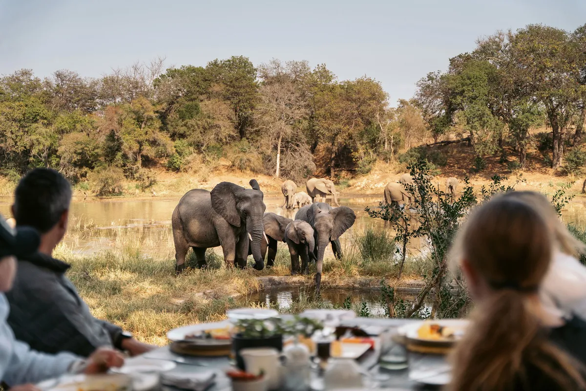 Simbavati River Lodge — photo 36