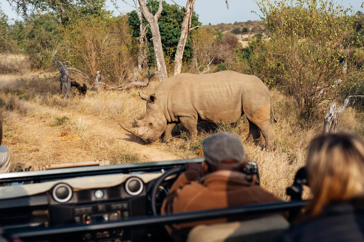 Simbavati River Lodge — photo 37