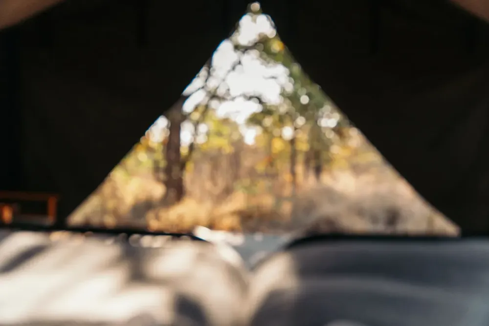 Simbavati Trails Camp, Timbavati (Greater Kruger), South Africa