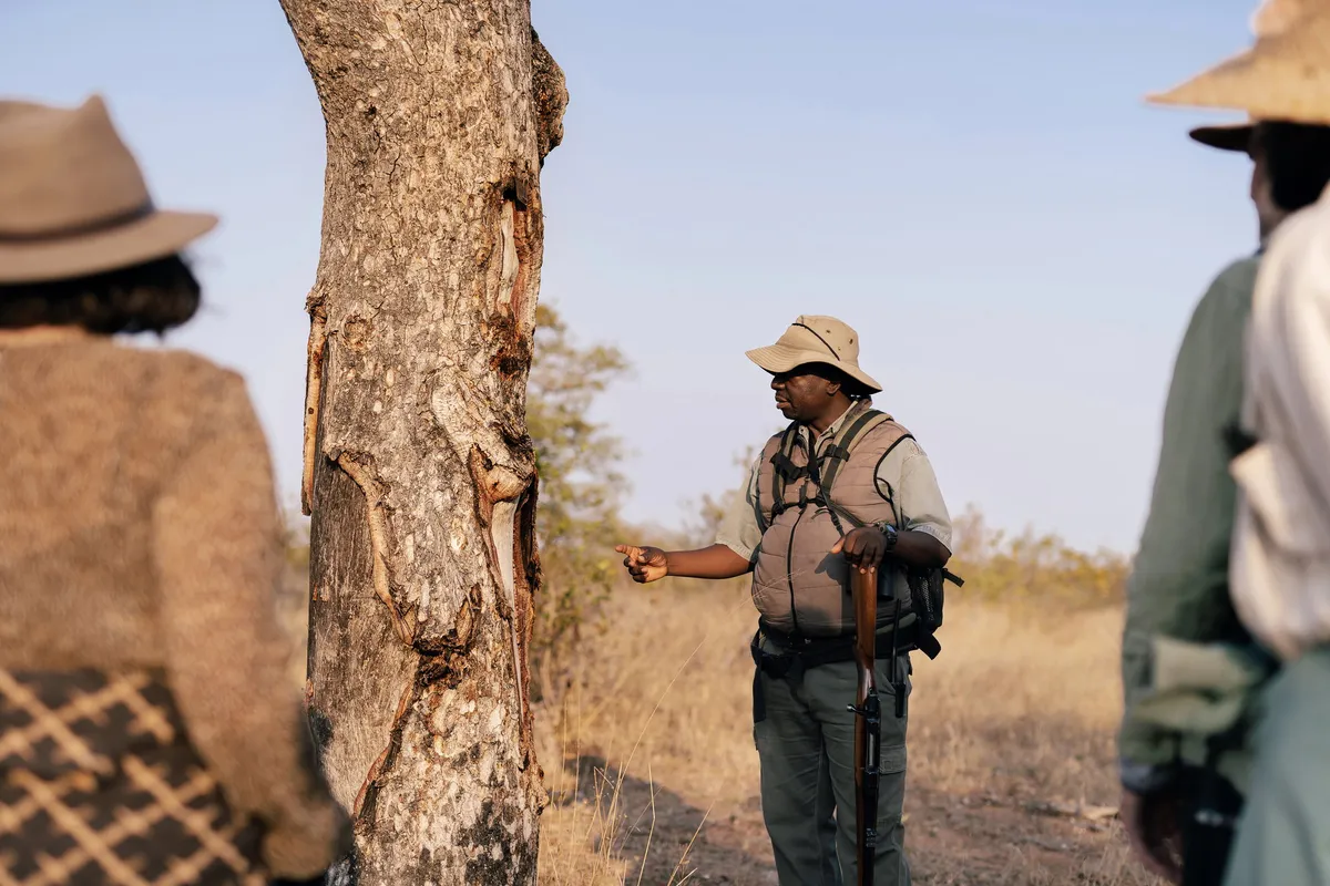 Simbavati Trails Camp — photo 5