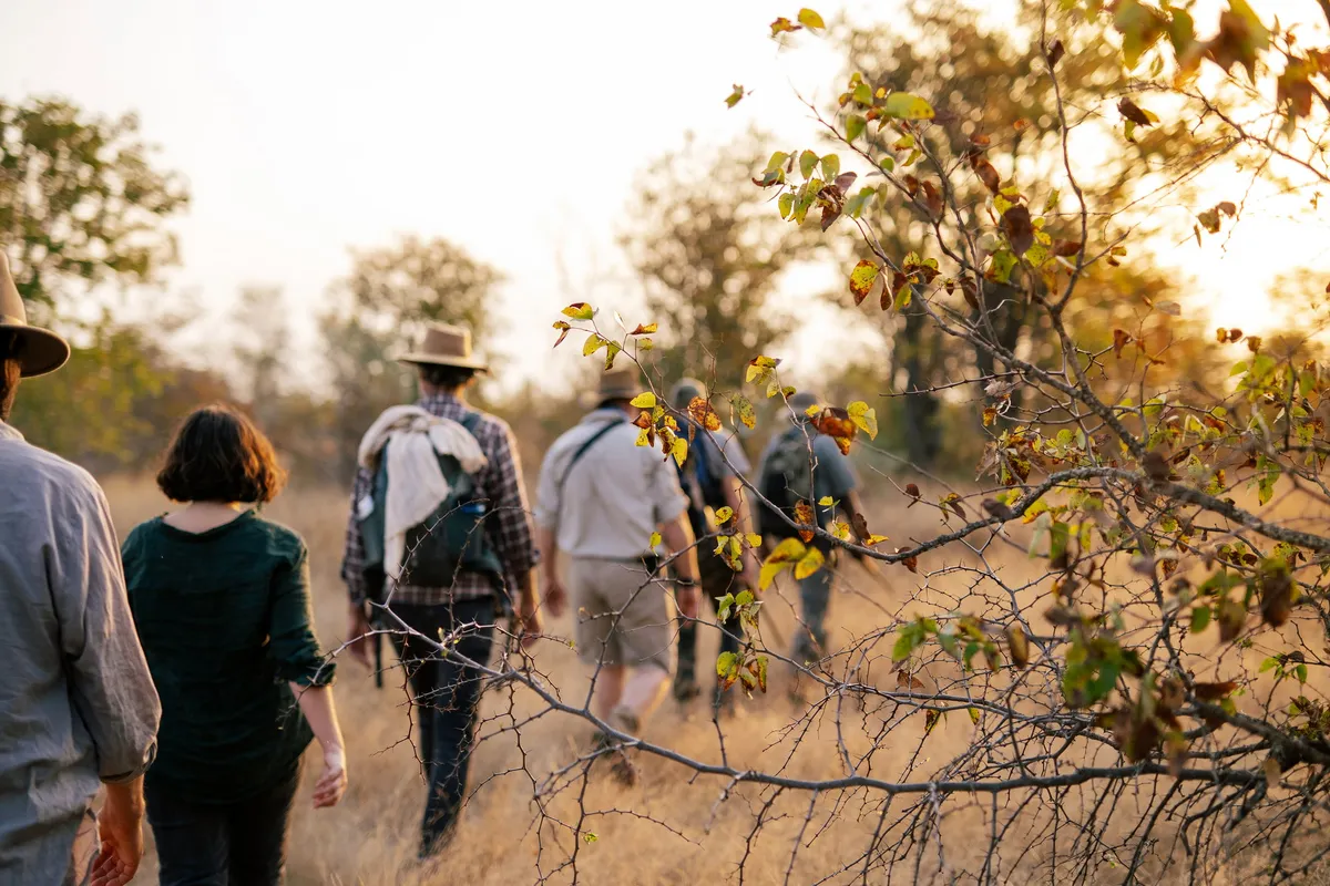 Simbavati Trails Camp — photo 8