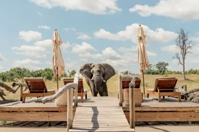 Somalisa Expeditions, Hwange National Park, Zimbabwe
