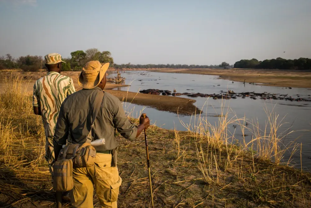 South Luangwa