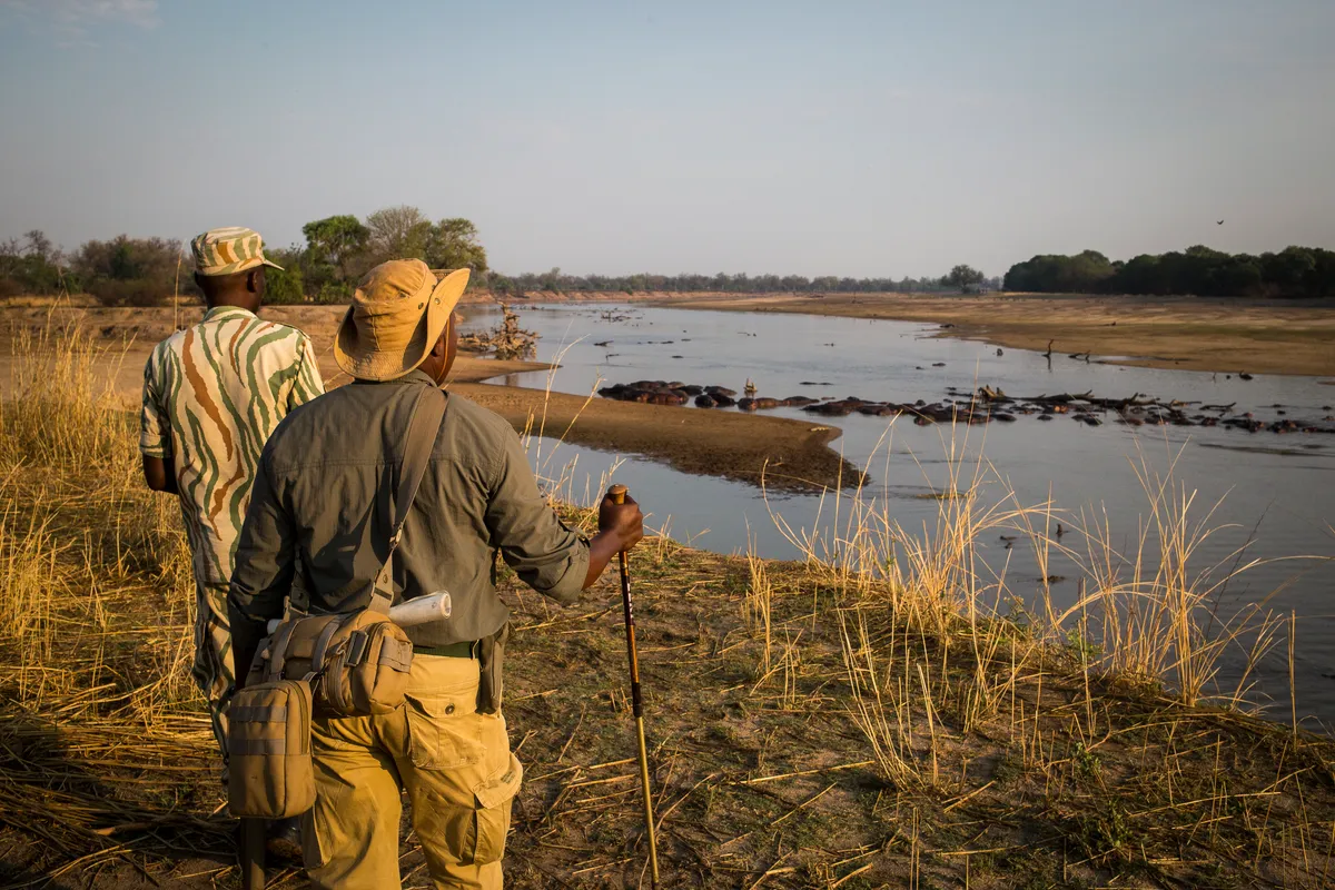 South Luangwa