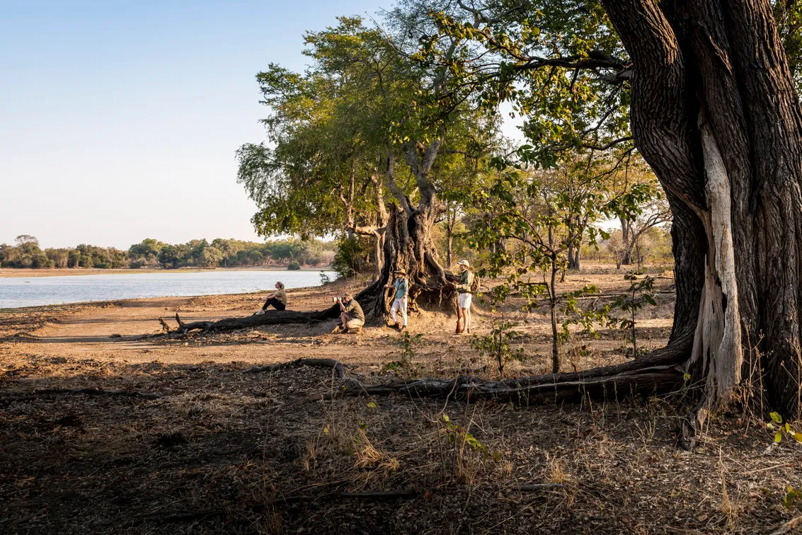Sungani Lodge — photo 29