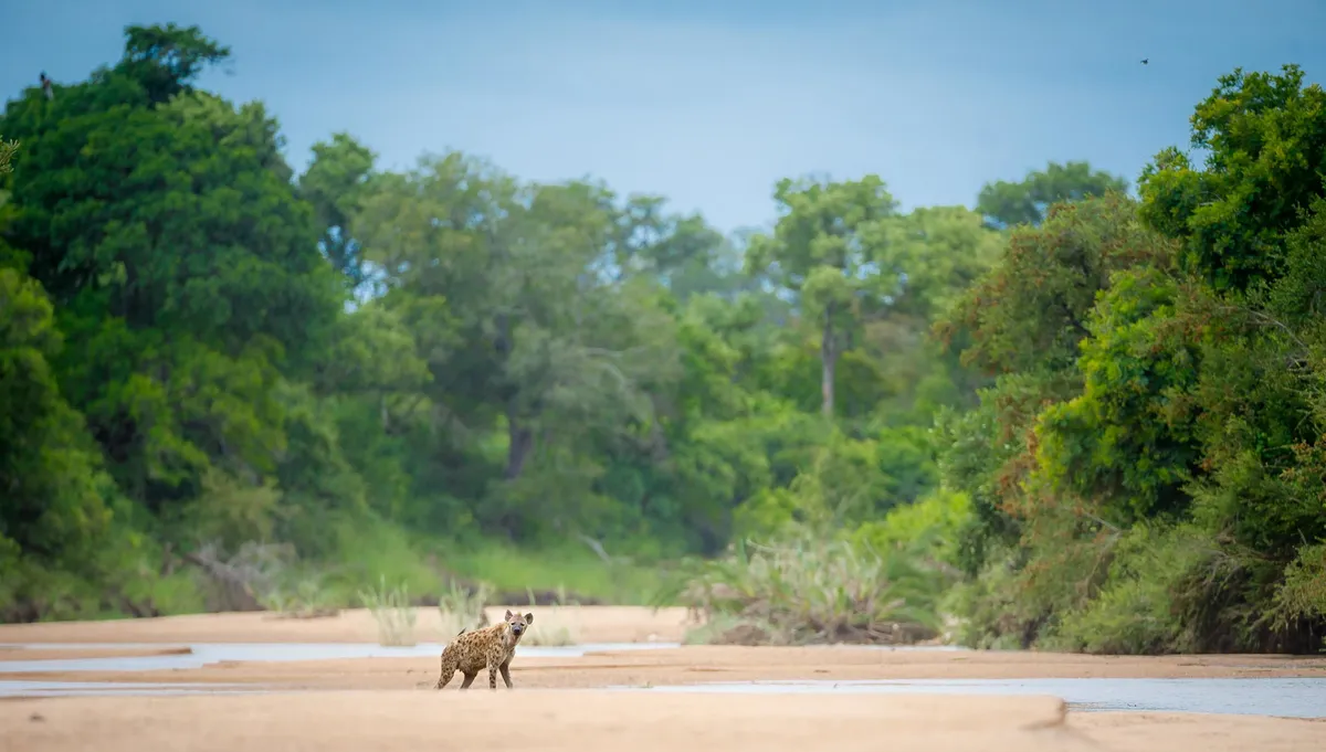 Tanda Tula Safari Camp — photo 30