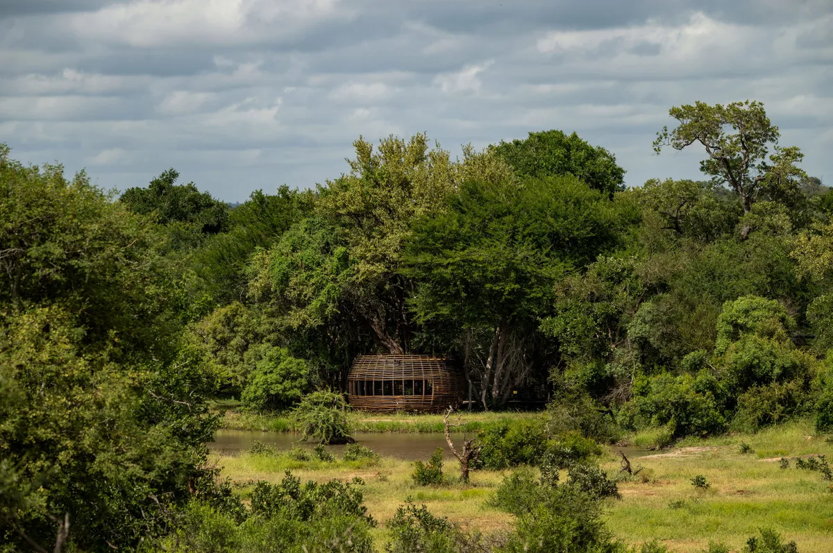 Tanda Tula Safari Camp — photo 8