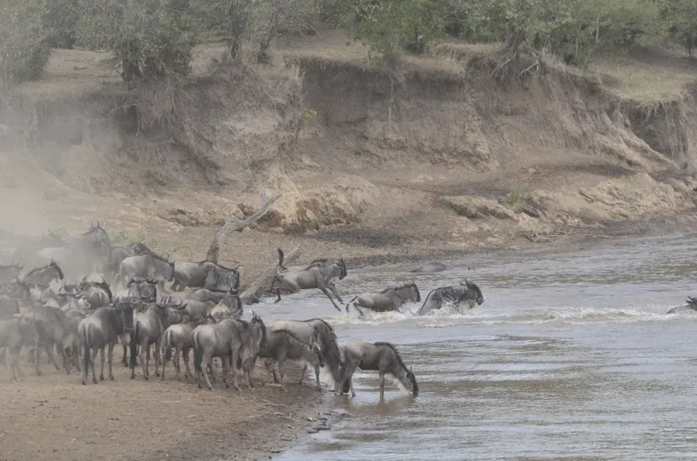 Tangulia Mara, Maasai Mara, Kenya
