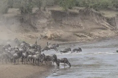 Tangulia Mara, Maasai Mara, Kenya