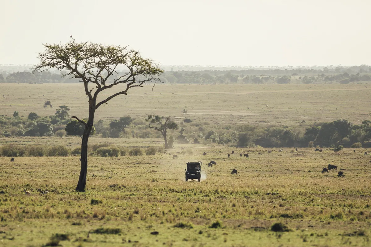 Tangulia Mara — photo 2