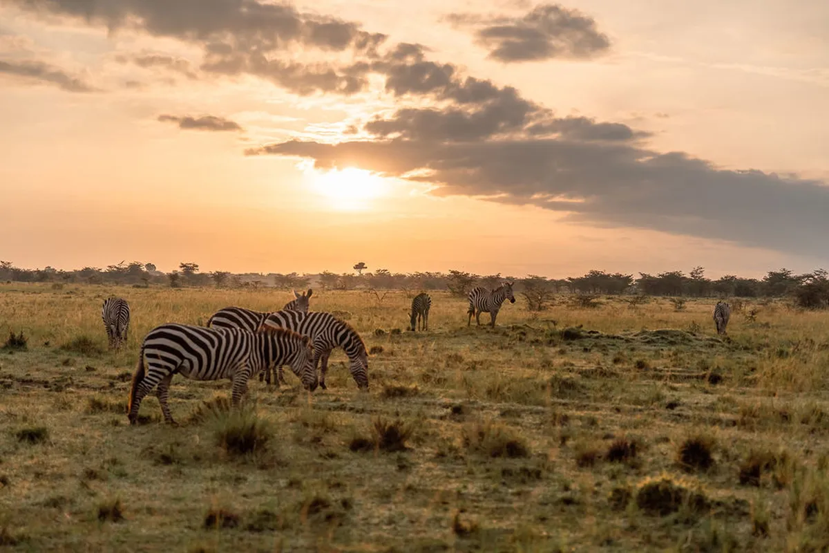 Tangulia Mara — photo 34