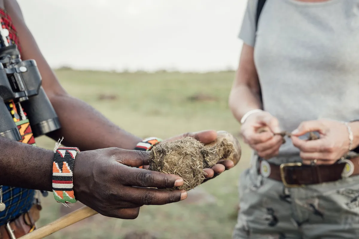 Tangulia Mara — photo 7