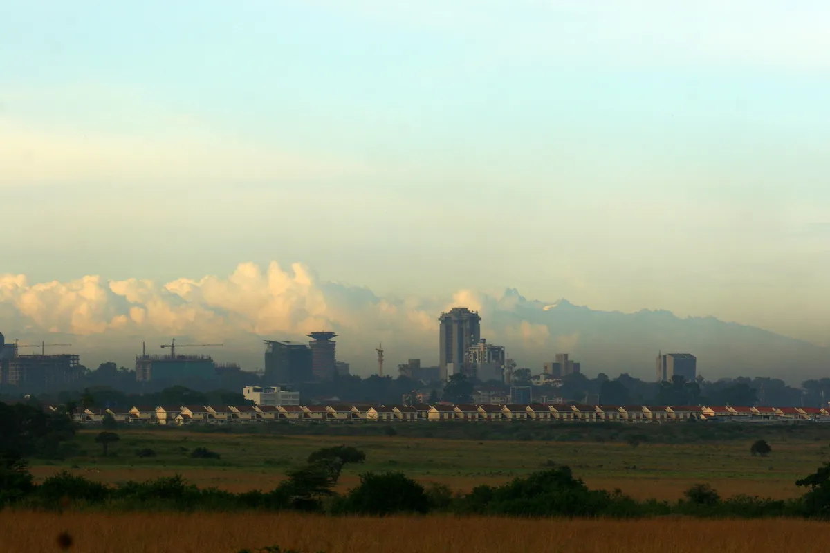 The Emakoko — photo 43