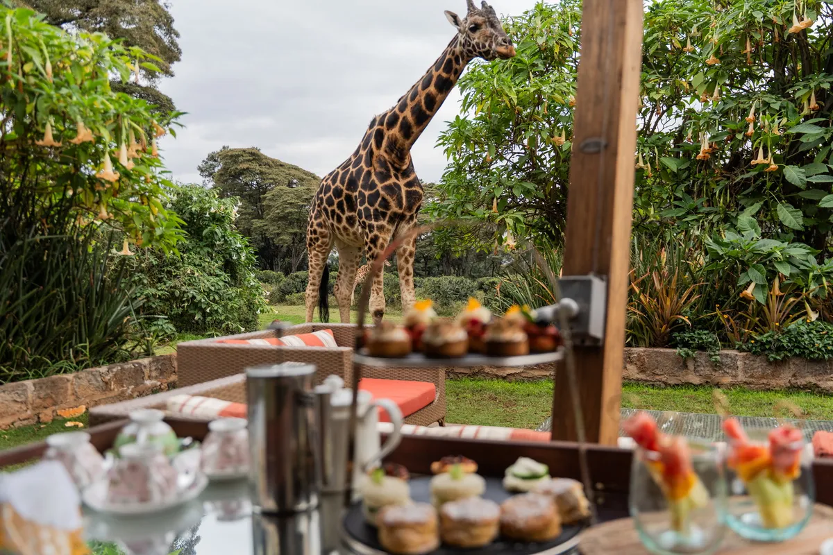 The Retreat at Giraffe Manor — photo 19
